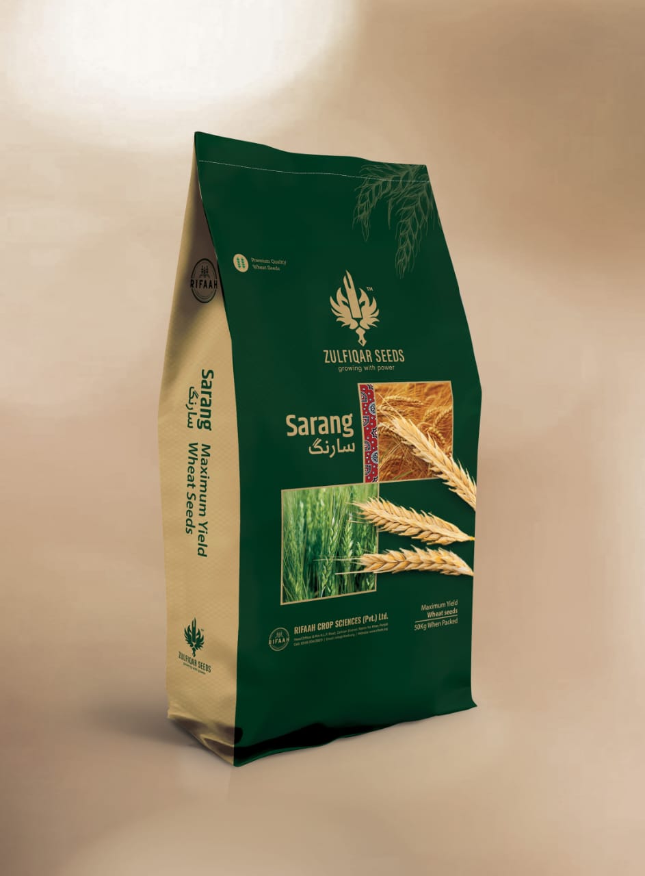 Sarang Wheat - Image 2