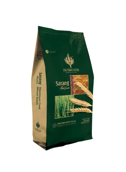 Sarang Wheat