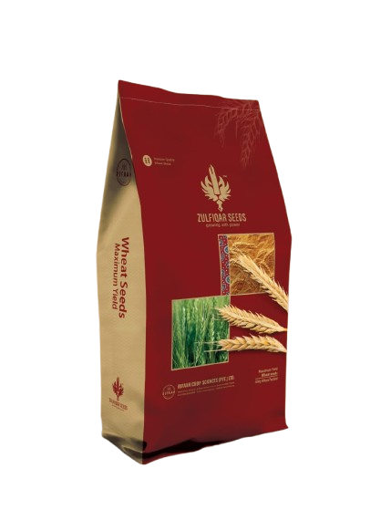 Zulfiqar Wheat