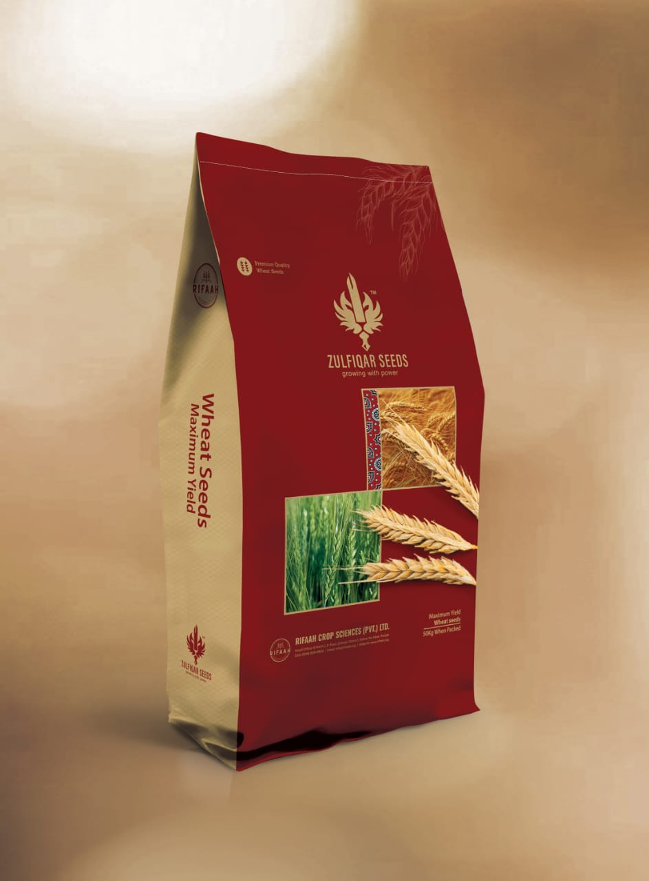 Zulfiqar Wheat - Image 2